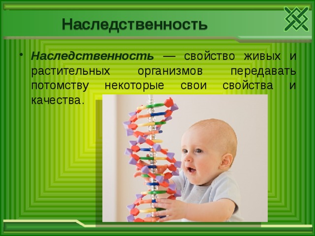  Наследственность Наследственность  — свойство живых и растительных организмов передавать потомству некоторые свои свойства и качества. 