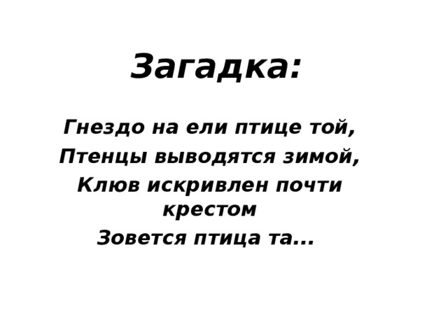 Загадка гнездо. Загадка про гнездо. Загадка про гнездо для детей. Загадка про гнездо птицы. Загадка гнёздышко.