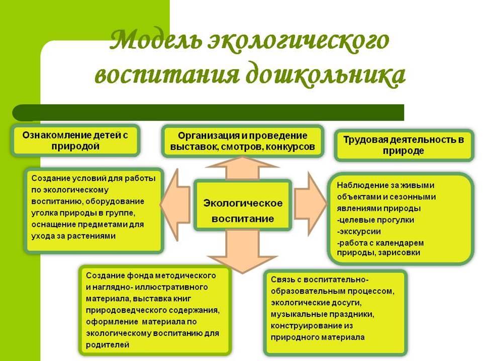 Проект экологическое воспитание