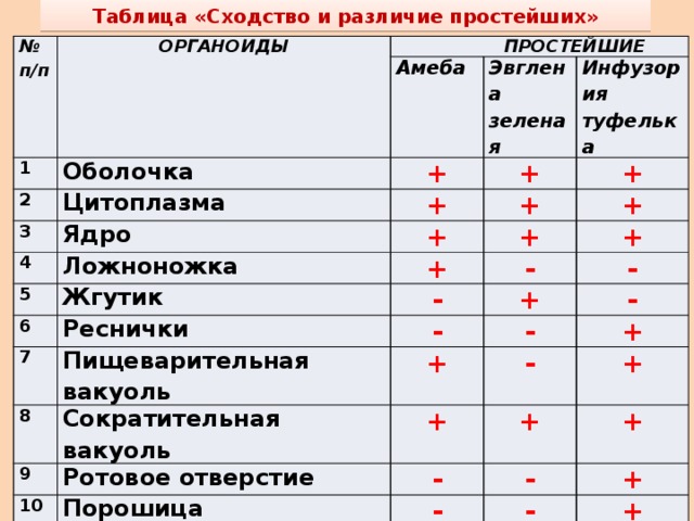 Таблица сходства и различия. Таблица по биологии сходство и различие простейших. Заполните таблицу сравнительная характеристика простейших биология. Сходство и различие строения простейших таблица 7 класс. Строение простейших 7 класс биология таблица.