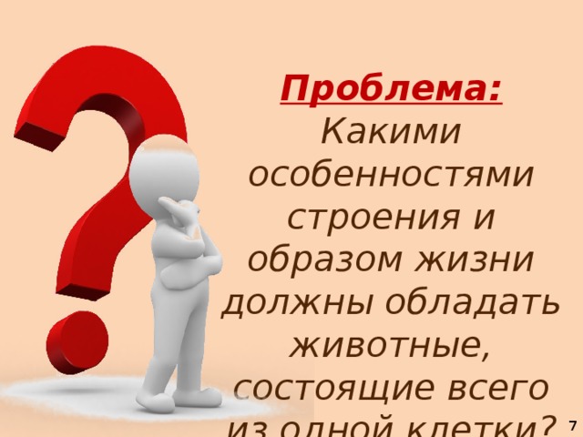 Проблема:  Какими особенностями строения и образом жизни должны обладать животные, состоящие всего из одной клетки?