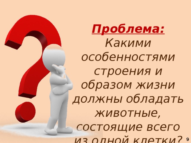 Проблема:  Какими особенностями строения и образом жизни должны обладать животные, состоящие всего из одной клетки?