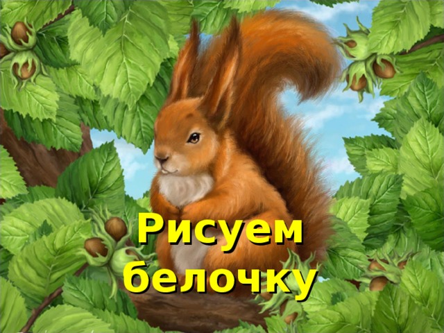 Рисуем белочку 