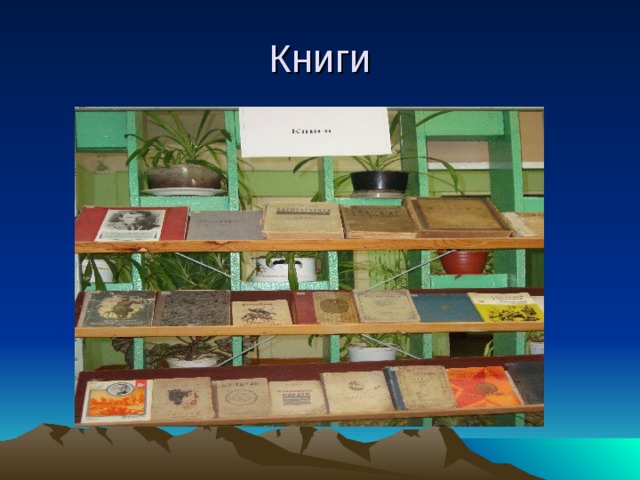 Книги 