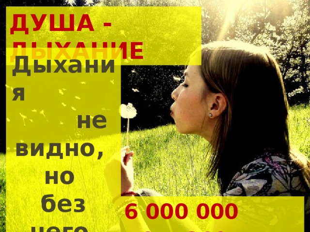 ДУША - ДЫХАНИЕ Дыхания не видно, но без него нет жизни 6 000 000 долларов 
