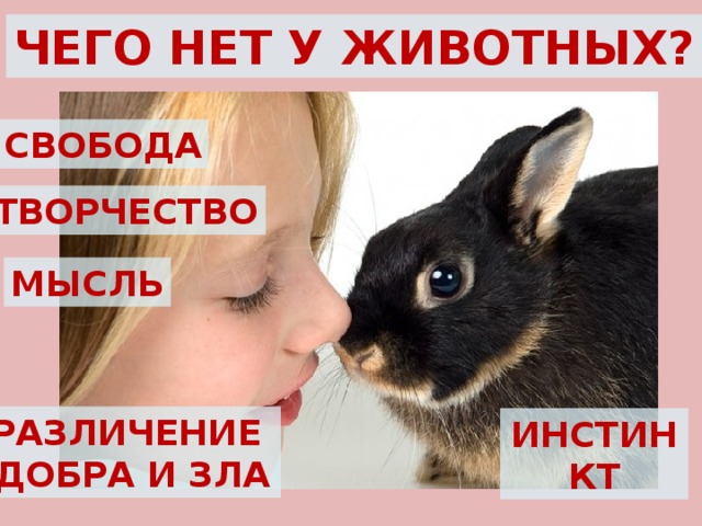 ЧЕГО НЕТ У ЖИВОТНЫХ? СВОБОДА ТВОРЧЕСТВО МЫСЛЬ РАЗЛИЧЕНИЕ ДОБРА И ЗЛА ИНСТИНКТ 