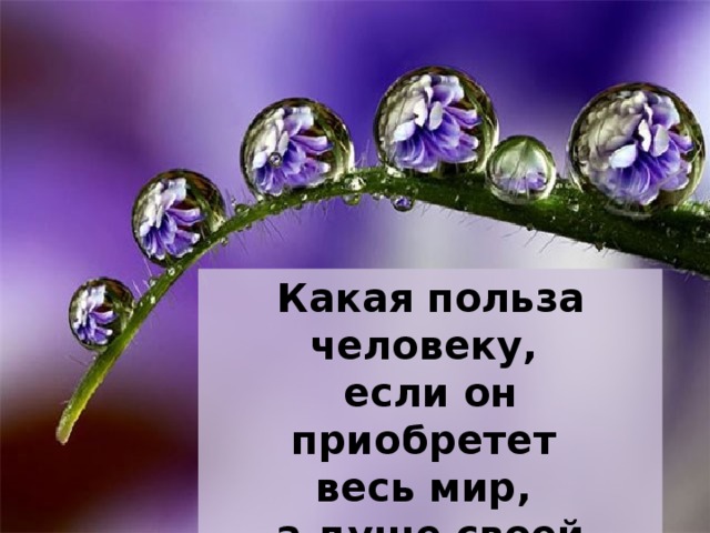 Какая польза человеку, если он приобретет весь мир, а душе своей повредит? (Мф: 16, 26) 