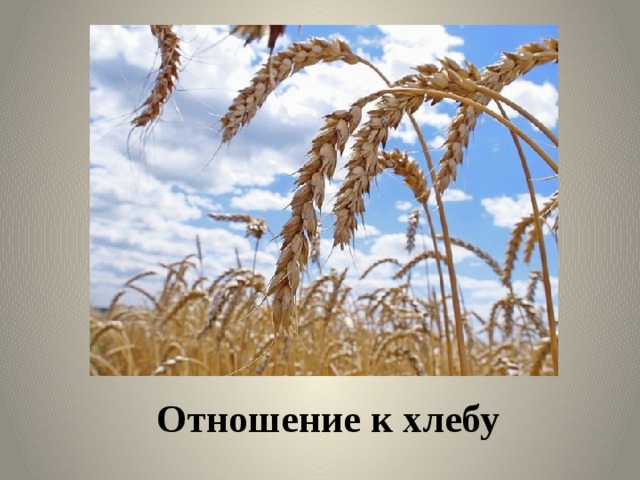 Отношение к хлебу 