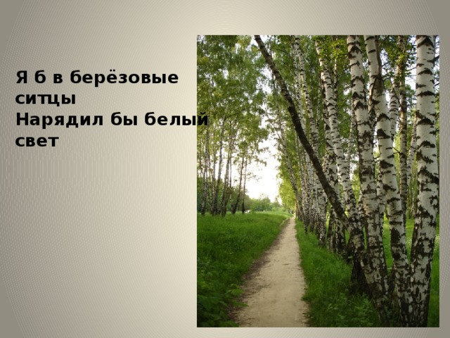 Я б в берёзовые ситцы  Нарядил бы белый свет 
