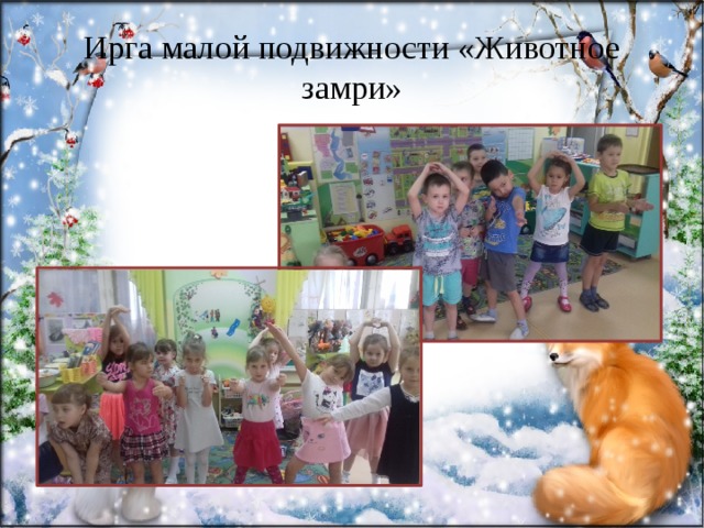Ирга малой подвижности «Животное замри» 