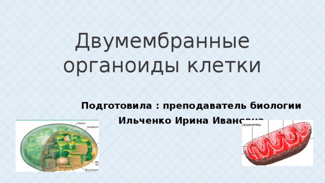 Двумембранные органоиды клетки Подготовила : преподаватель биологии Ильченко Ирина Ивановна