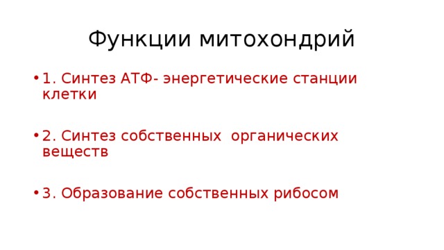 Функции митохондрий