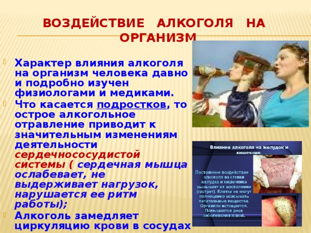 Итоговый проект влияние алкоголя на организм человека Все ли мы знаем о спирте?