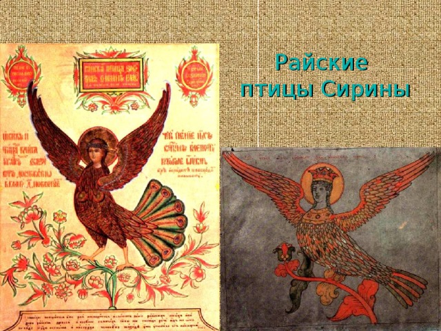 Райские  птицы Сирины 