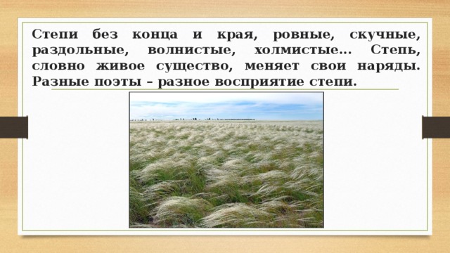 Степи без конца и края, ровные, скучные, раздольные, волнистые, холмистые... Степь, словно живое существо, меняет свои наряды. Разные поэты – разное восприятие степи. 