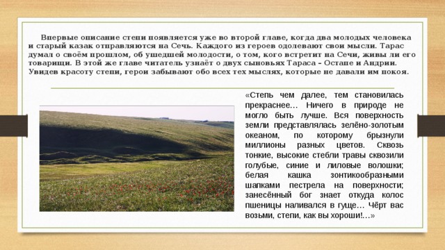 Роль пейзажа в тарасе бульбе. Описание степи Тарас Бульба. Описание степи из повести Тарас Бульба. Чехов Тарас Бульба описание степи. Описание степи Гоголь Тарас Бульба кратко.