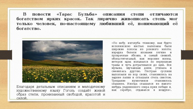 Пейзаж в тарасе бульбе. Описание степи Гоголь Тарас Бульба кратко. Описание степи из повести Гоголя Тарас Бульба. Гоголь Тарас Бульба описание степи. Гоголь описание степи.