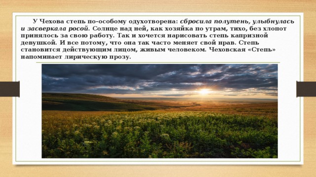 В описание картины жизни степной природы вплетаются эпизоды со встречными на пути людьми сонной