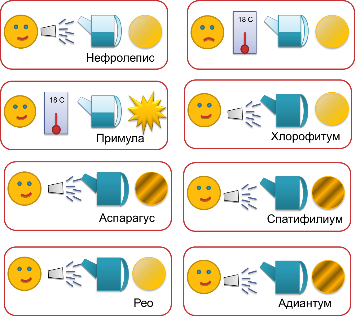 Схема ухода за растениями