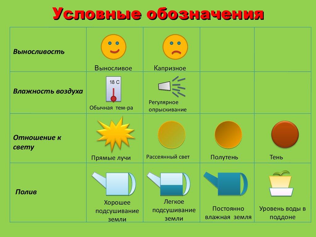 Условные обозначения цветов. Паспорт комнатных растений для детского сада условные обозначения. Паспорт комнатных растений во 2 мл гр. Паспорт комнатных растений младшая группа условные обозначения. Паспорт комнатных растений в детском саду 2 младшая группа.