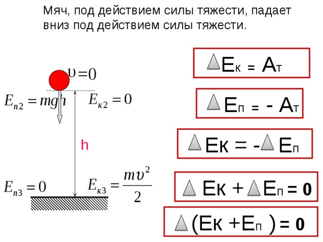 Падение вертикально вниз. Мячик под силой тяжести. Под действием силы. Мяч падает вниз. Падение тела под действием силы тяжести вверх и вниз.