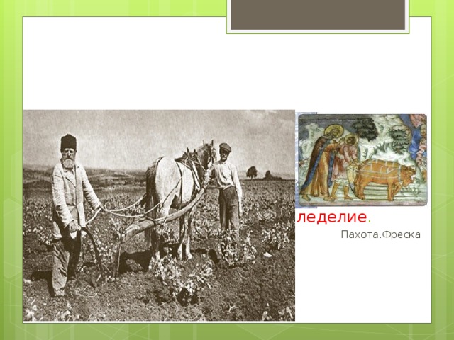         Земледелие. Крестьянство   В начале XVI в население России составляло около 6 млн.человек.  Главное занятие- пашенное земледелие .  Пахота.Фреска XVII в. 