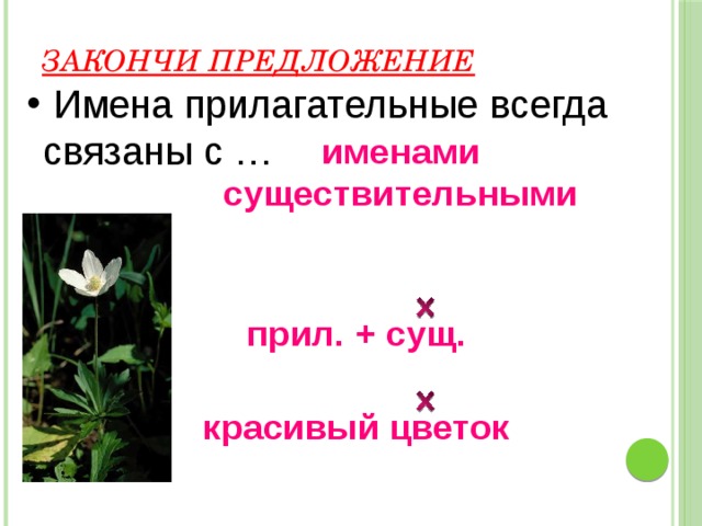 Прилагательное всегда. Цветок имя существительное. Цветы с прилагательным. Предложение с именем прилагательным. Растения с прилагательными.