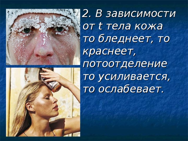  2. В зависимости от t тела кожа то бледнеет, то краснеет, потоотделение то усиливается, то ослабевает. 