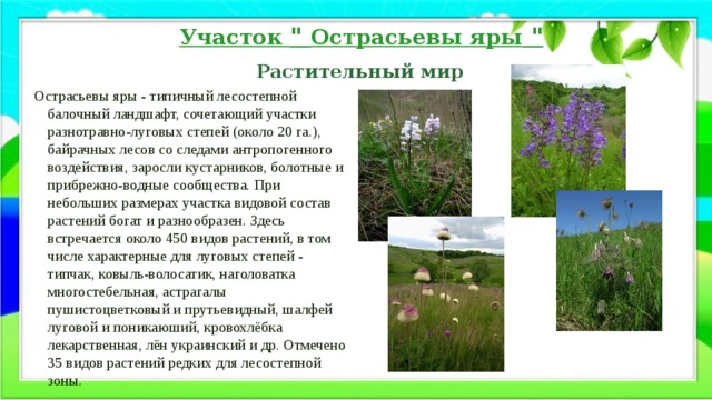 Участок 