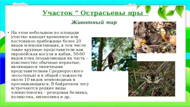 Участок 