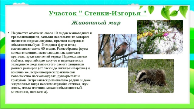 Участок 