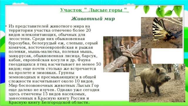 Участок  