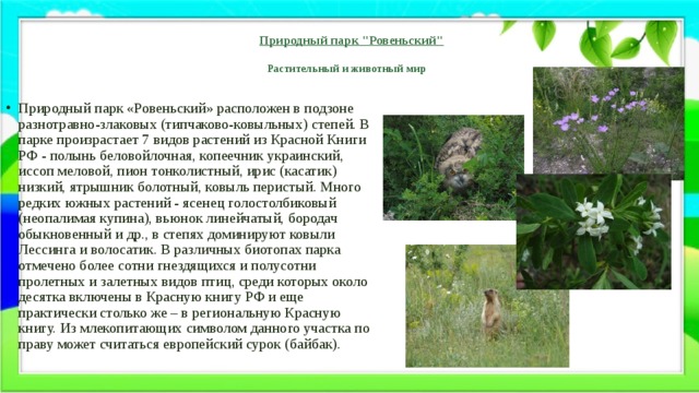 Природный парк 