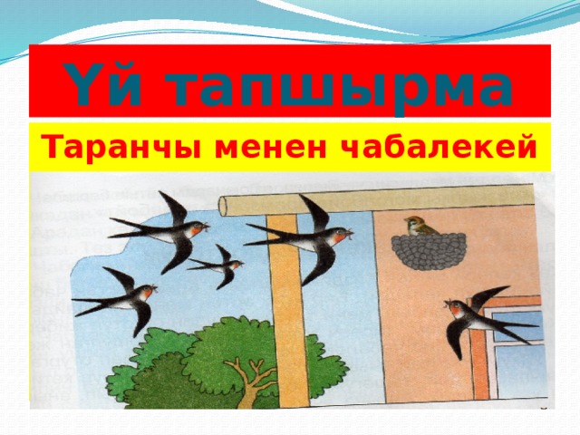 Yй тапшырма Таранчы менен чабалекей 