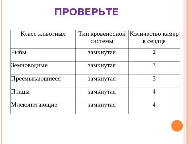 ПРОВЕРЬТЕ Класс животных Тип кровеносной системы Рыбы Количество камер в сердце замкнутая Земноводные 2 замкнутая Пресмыкающиеся Птицы 3 замкнутая 3 замкнутая Млекопитающие 4 замкнутая 4 