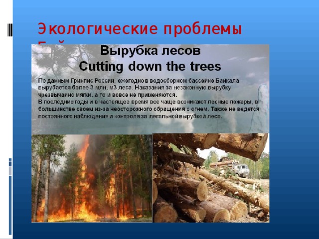 Экологические проблемы Байкала 