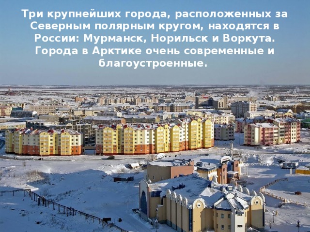 Животные арктики и тундры — иллюстрация 26