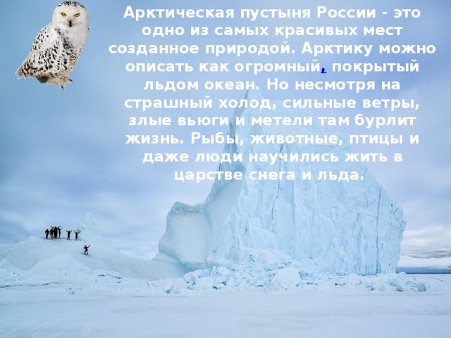 Животные арктики и тундры — иллюстрация 28