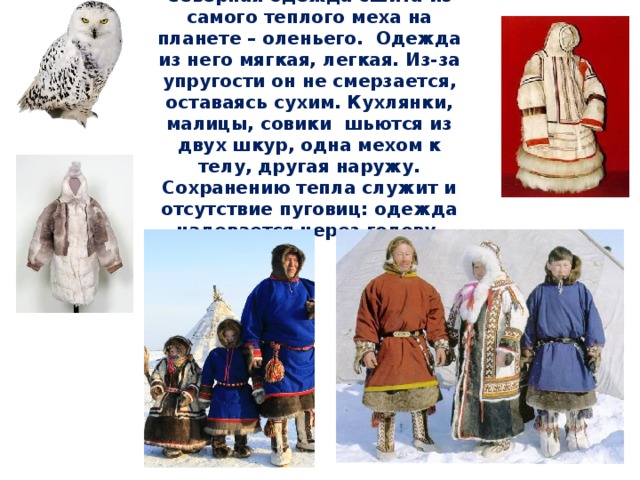 Животные арктики и тундры — иллюстрация 38