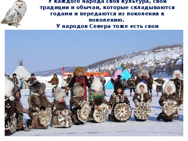 Животные арктики и тундры — иллюстрация 40