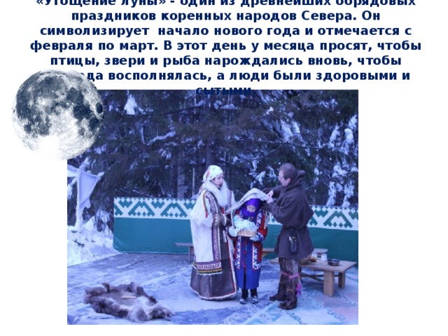 Животные арктики и тундры — иллюстрация 41