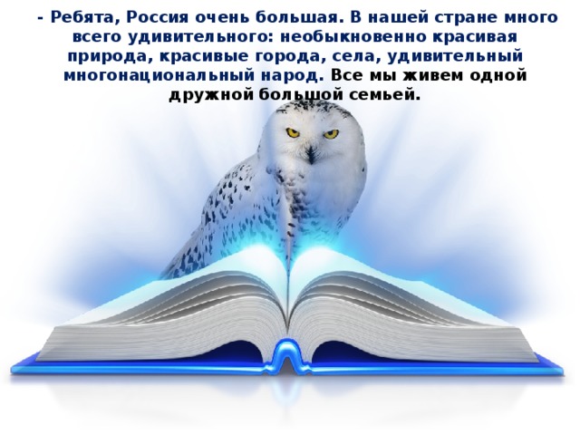 Животные арктики и тундры — иллюстрация 45