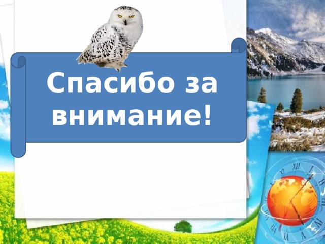 Животные арктики и тундры — иллюстрация 47