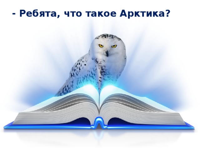 Животные арктики и тундры — иллюстрация 20