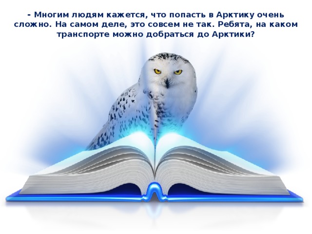 Животные арктики и тундры — иллюстрация 24