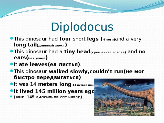 Diplodocus This dinosaur had four short legs ( 4 ноги) and a very long tail (длинный хвост ) This dinosaur had a tiny head (крошечная голова)  and no ears( без  ушей ) It ate leaves(ел листья) . This dinosaur walked slowly,couldn’t run(не мог быстро передвигаться) It was 14 meters long (14 метров длинной ) It lived 145 million years ago (жил 145 миллионов лет назад) 