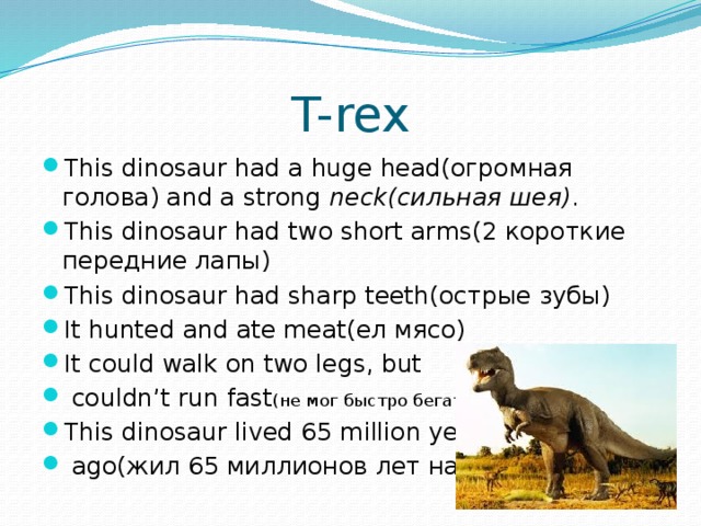 T-rex This dinosaur had a huge head(огромная голова) and a strong  neck(сильная шея) . This dinosaur had two short arms(2 короткие передние лапы) This dinosaur had sharp teeth(острые зубы) It hunted and ate meat(ел мясо) It could walk on two legs, but  couldn’t run fast (не мог быстро бегать ) This dinosaur lived 65 million years  ago(жил 65 миллионов лет назад) 