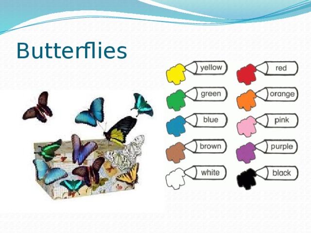 Butterflies 