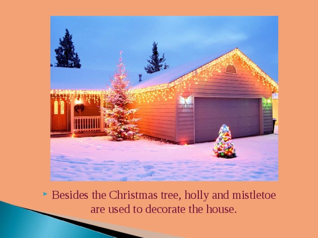 Besides the Christmas tree, holly and mistletoe are used to decorate the house. 
