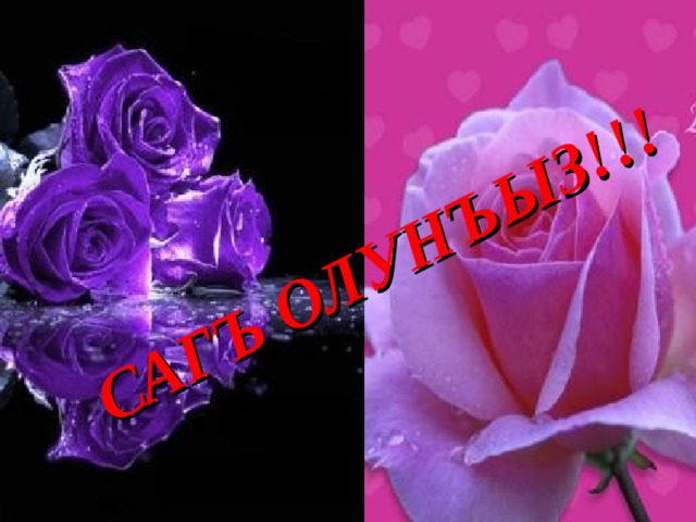 Открытка на крымскотатарском языке, собак кошек
